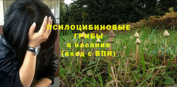 круглые Алексин