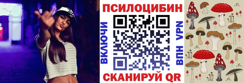Псилоцибиновые грибы Cubensis  где продают   Краснознаменск 