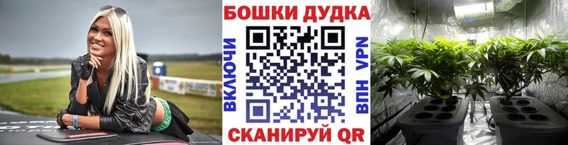 кракен   наркота  Краснознаменск  Шишки марихуана Amnesia 